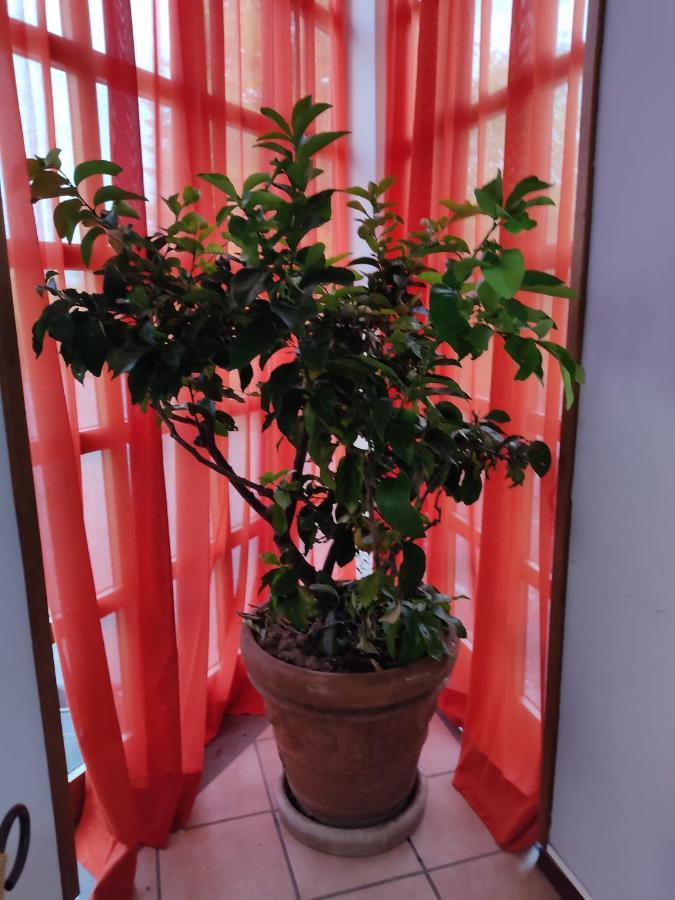 Hotel La Vela Castelnuovo Rangone Екстер'єр фото